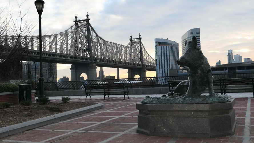 NYC_2020-01-27 07-41-34_P1070724